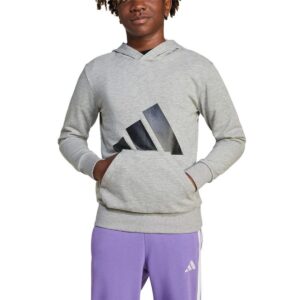 Sweatshirt met Capuchon voor Meisjes Adidas Big Logo French Terry Hd Lichtgrijs
