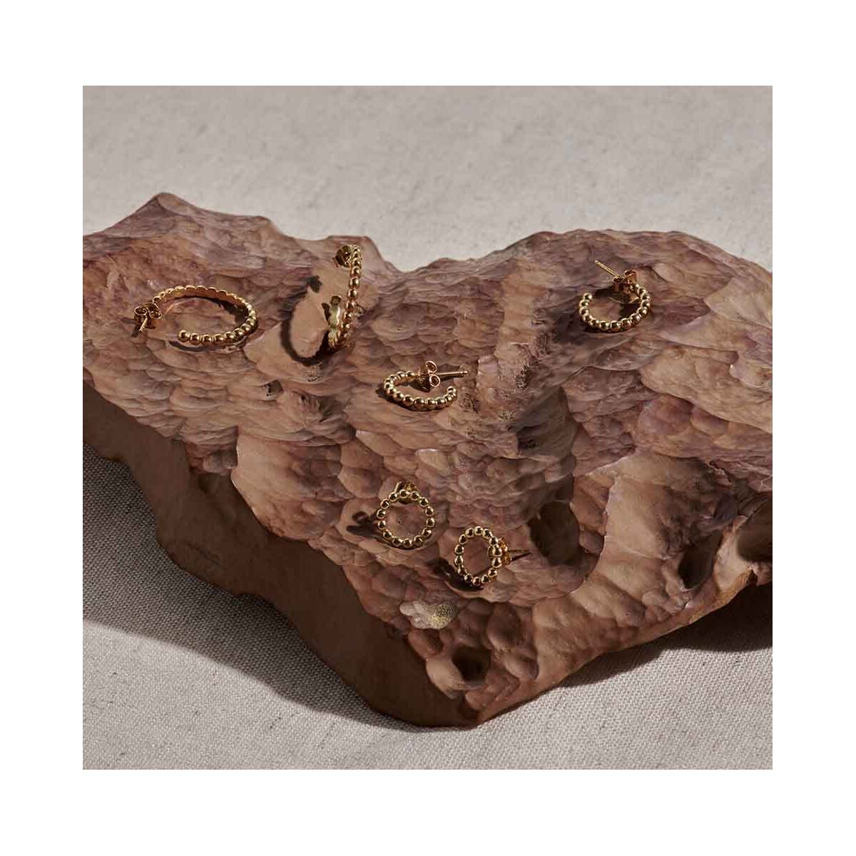 Oorbellen Dames Radiant - Afbeelding 3