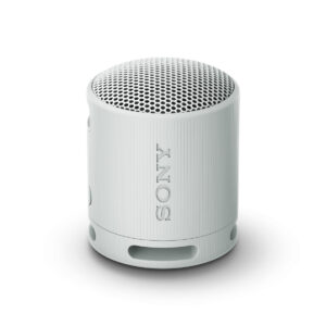 draagbare Bluetooth®-luidsprekers Sony SRSXB100H.CE7 Grijs