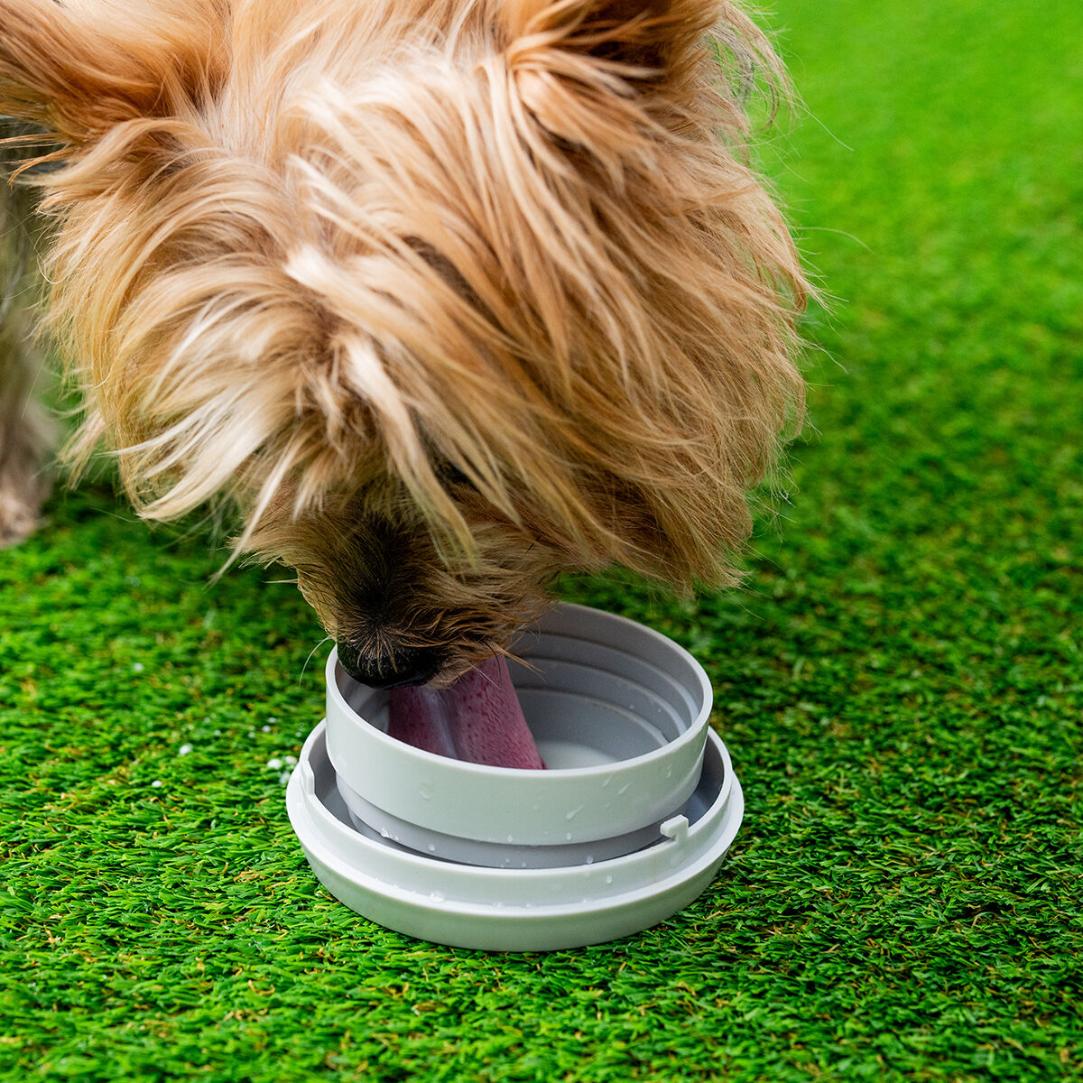 6-in-1 intrekbare hondenriem Leashic InnovaGoods - Afbeelding 3